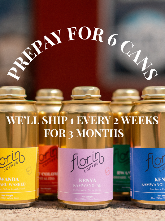 3 Month Gift Subscription | Ships Bi-Weekly