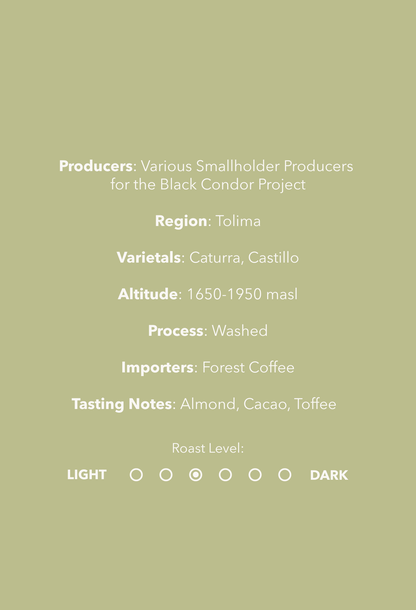 Colombia Black Condor